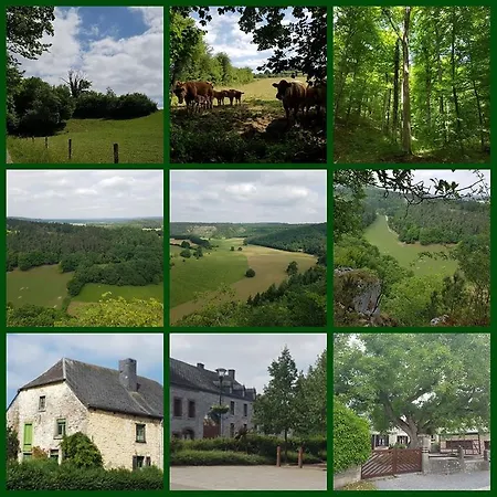 Chaletrent Mobilehomes Ardennen - Bure Camping Tellin